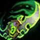 Demon Hunter Class Icon